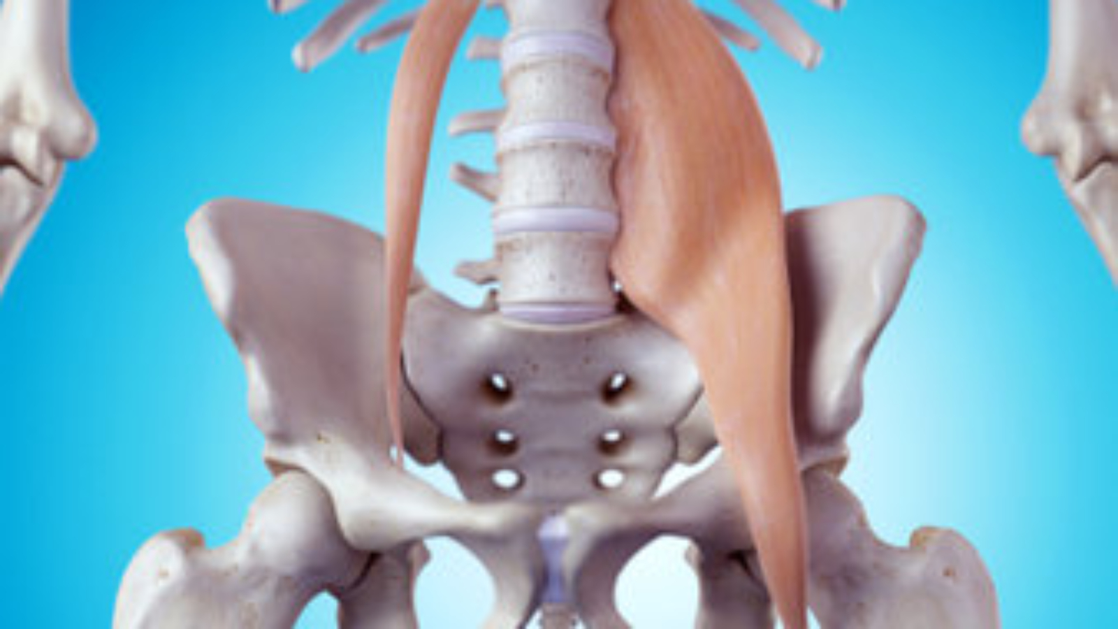 Pelvik Organ Sarkması