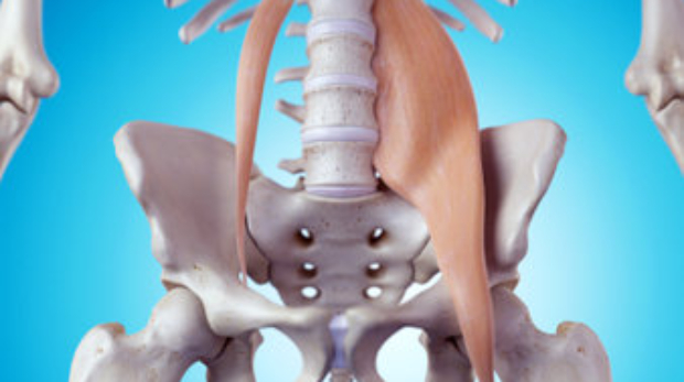 Pelvik Organ Sarkması